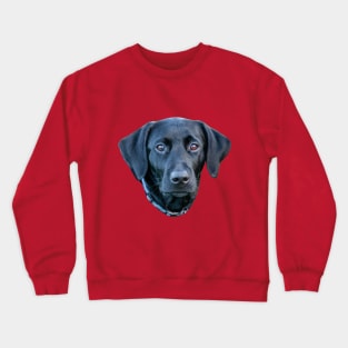 What a Face, Butter wouldn't melt! Crewneck Sweatshirt